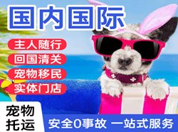 漠河国际宠物托运 【国
